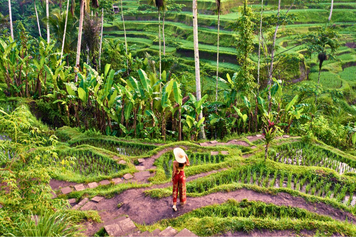 Bali Quality Tourism - Marclan International