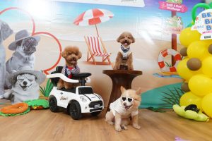 Jakarta International Pet Show, part of the Jakarta July 2026 exhibitions lineup